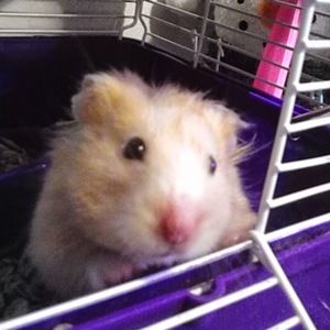 Meet your Posher, Barbara